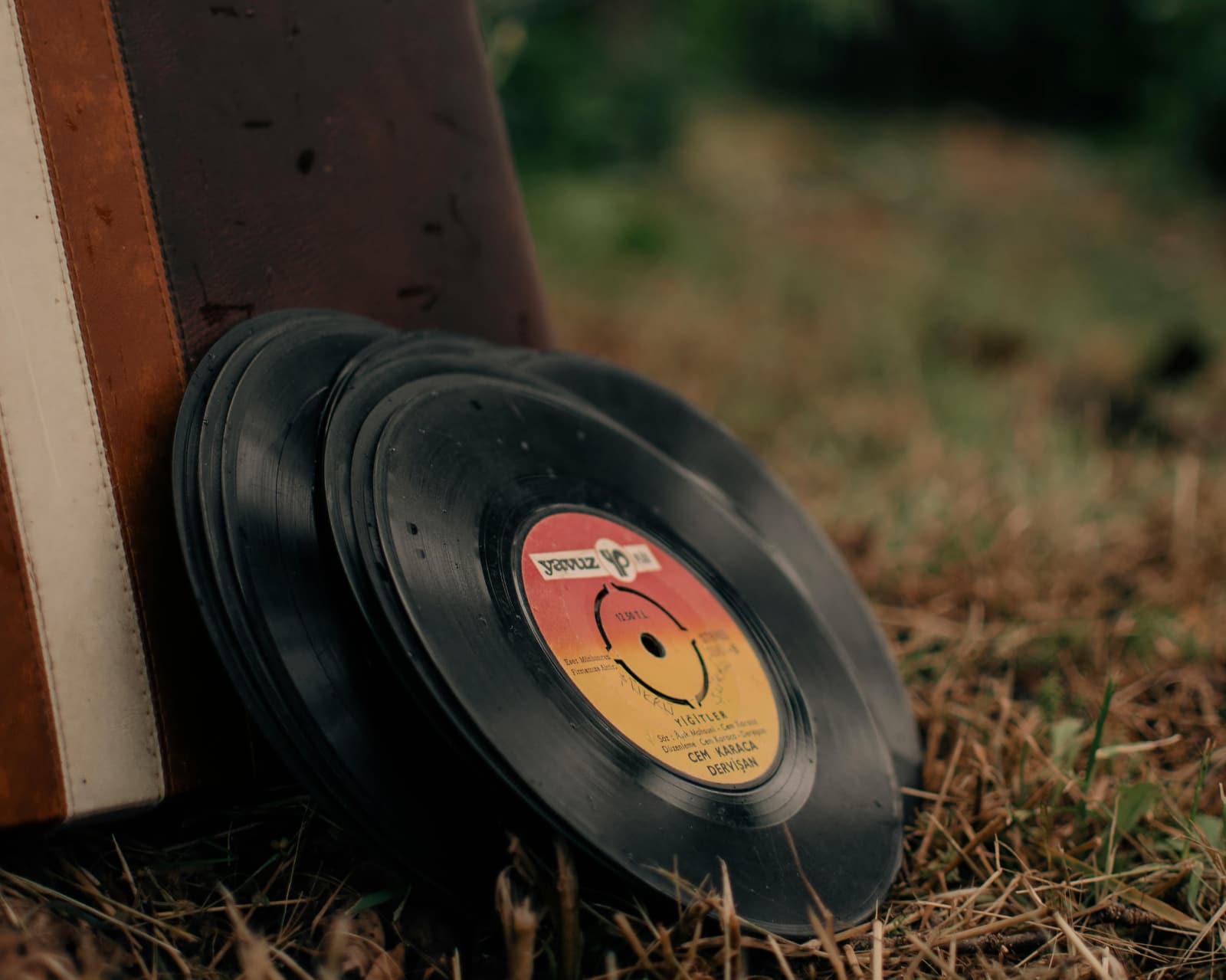 Records leaning against a suitcase in the grass